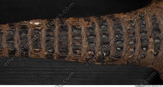 Photo Textures of Crocodil Skin